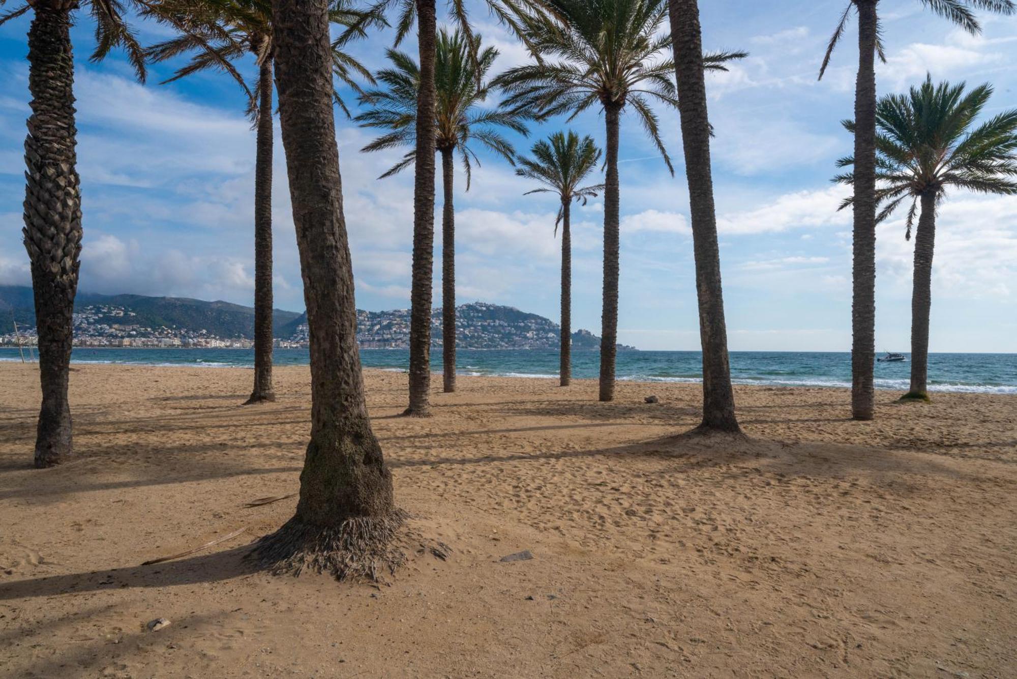Welhomy Magnifique Appartement Santa Margarida Roses Estany المظهر الخارجي الصورة